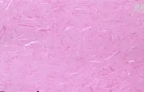 瓦努阿图女足实力出击，赛场之星