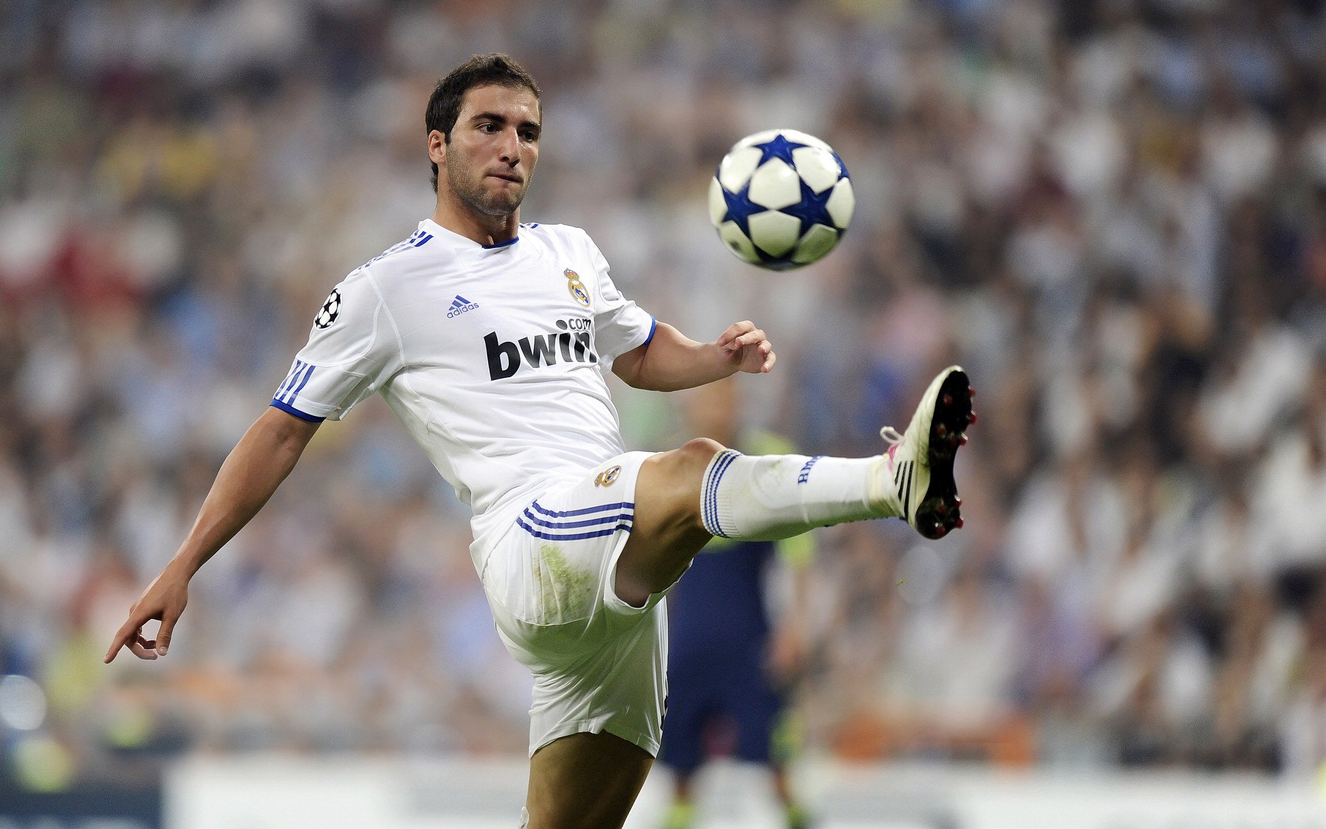 数据复盘：拜仁慕尼黑决赛对阵菲尼克斯太阳，高芙效率值爆表